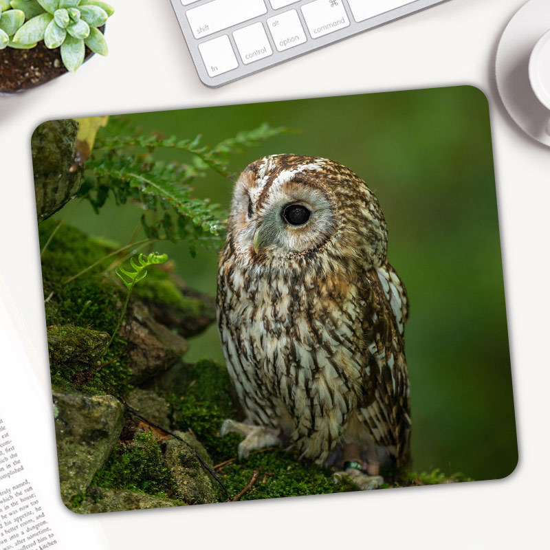 Cute Animal Owl Gaming Mouse P - огляд і ціна Gaming Accessories On Sale