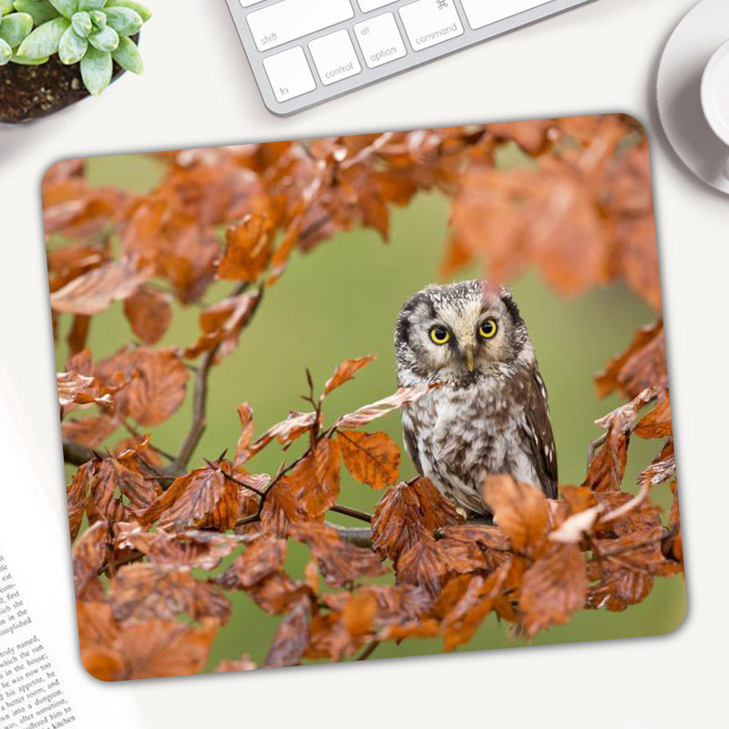 Cute Animal Owl Gaming Mouse P - огляд і ціна Gaming Accessories On Sale