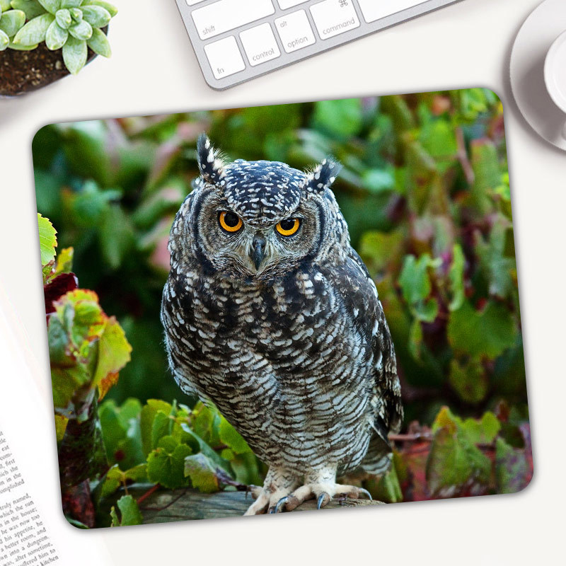 Cute Animal Owl Gaming Mouse P - огляд і ціна Gaming Accessories On Sale